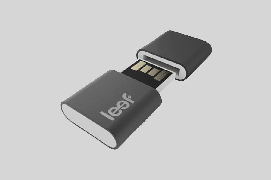 Leef USB flash bellekten kaybolan fotoğrafları nasıl geri alırsınız?